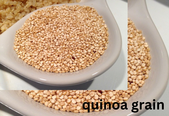 quinoa-grain-high protein foods